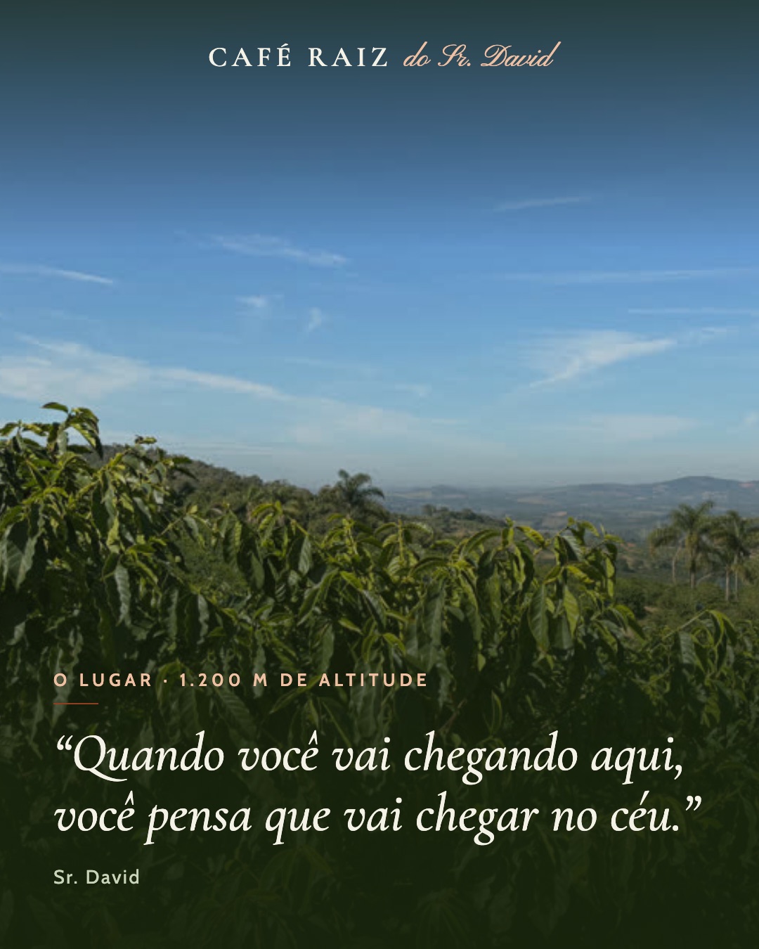 Vista da serra com as lavouras de café